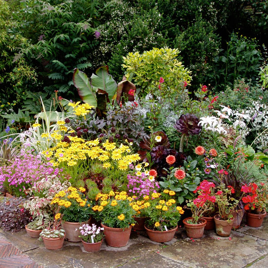 Containers are the easiest way to add colour to a scheme