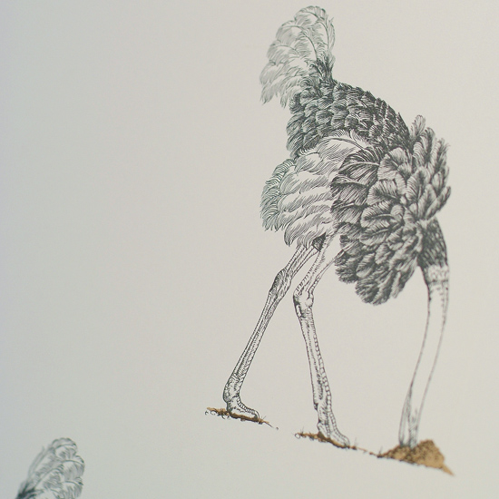 Ostrich wallpaper, small pencil on bone, by Firefly House | Graphic wallpaper | wallpaper | Decorating ideas | PHOTO GALLERY | 25 Beautiful Homes | Housetohome