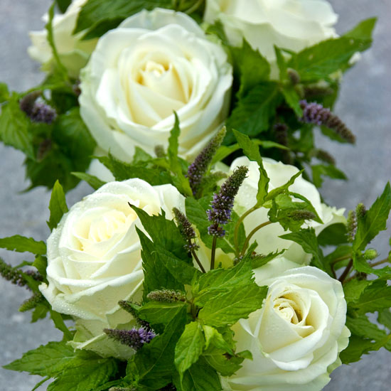 Arrange with cut flowers Lavender mint and white roses | In season: mint | Garden | PHOTO GALLERY | Housetohome | Homes & Gardens