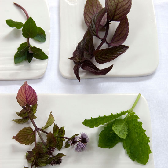 Try several varieties Variety of mint cuttings | In season: mint | Garden | PHOTO GALLERY | Housetohome | Homes & Gardens
