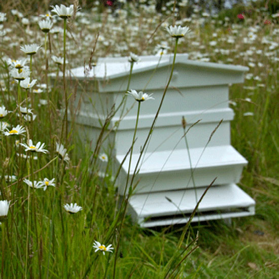Make way for bees | July gardening jobs | Garden | PHOTO GALLERY | Homes & Gardens | Housetohome.co.uk