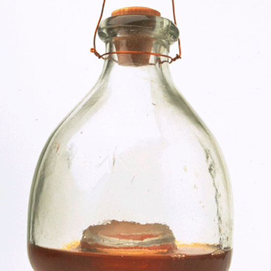 Catch wasps and flies Catch wasps and flies | July gardening jobs | Garden | PHOTO GALLERY | Homes & Gardens | Housetohome.co.uk