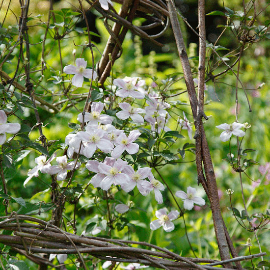 Tidy up regularly Tidy the garden regularly | July gardening jobs | Garden | PHOTO GALLERY | Homes & Gardens | Housetohome.co.uk