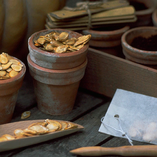 Collect and store seeds Collect and store seeds | July gardening jobs | Garden | PHOTO GALLERY | Homes & Gardens | Housetohome.co.uk