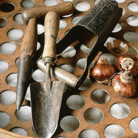 Position bulbs thoughtfully Position bulbs thoughtfully | July gardening jobs | Garden | PHOTO GALLERY | Homes & Gardens | Housetohome.co.uk