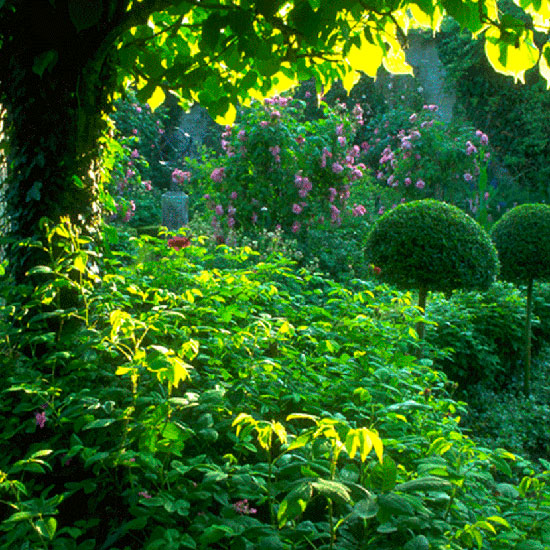 When the rain ceases When the rain ceases | July gardening jobs | Garden | PHOTO GALLERY | Homes & Gardens | Housetohome.co.uk