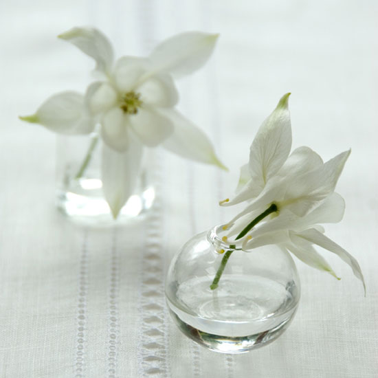Create a pretty display Create a pretty display | In season: aquilegia | Garden | PHOTO GALLERY | Homes & Gardens | Housetohome