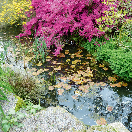The best way to remove duckweed is by hand