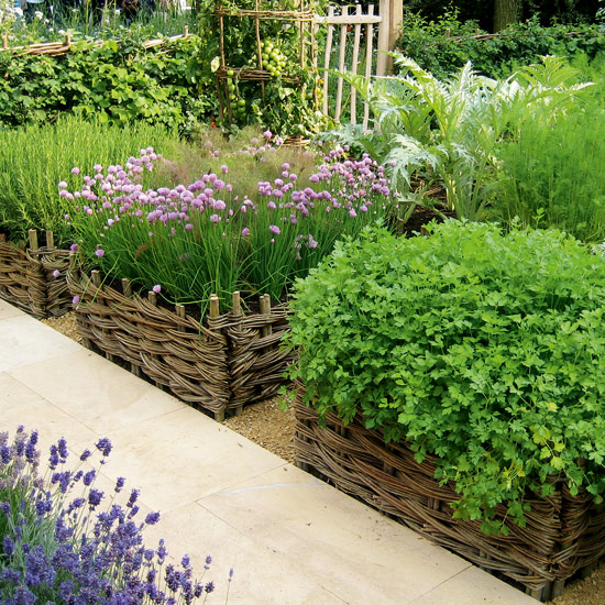 Site your vegetable garden in an open, sunny and sheltered place