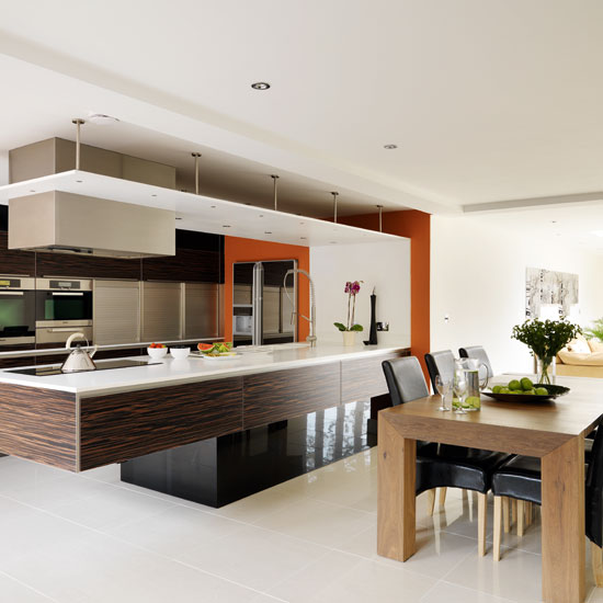 Ebony veneer and white kitchen | Contemporary kitchen tour | PHOTO GALLERY | Beautiful Kitchens | Housetohome.co.uk