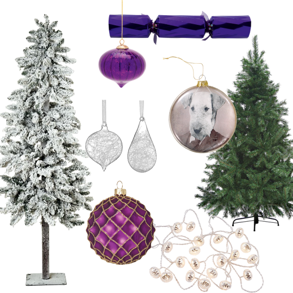 Treetime