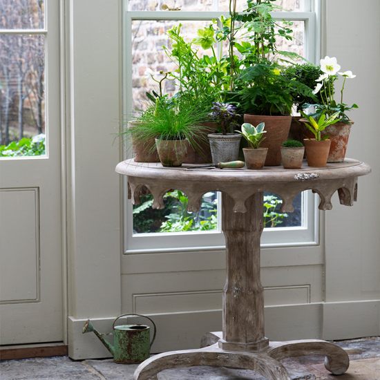 Conservatory with potted plants | Decorating ideas | PHOTO GALLERY | Housetohome.co.uk
