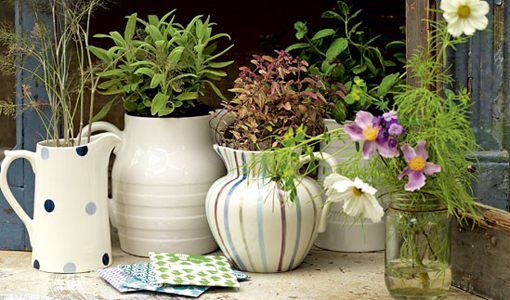 Decorative garden jugs