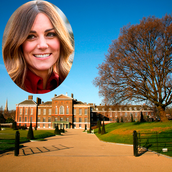 One is not amused! Kensington Palace undergoes another renovation as the Duchess of Cambridge decides she hates the current colour scheme One is not amused! Kensington Palace undergoes another renovation as the Duchess of Cambridge decides she hates the current colour scheme